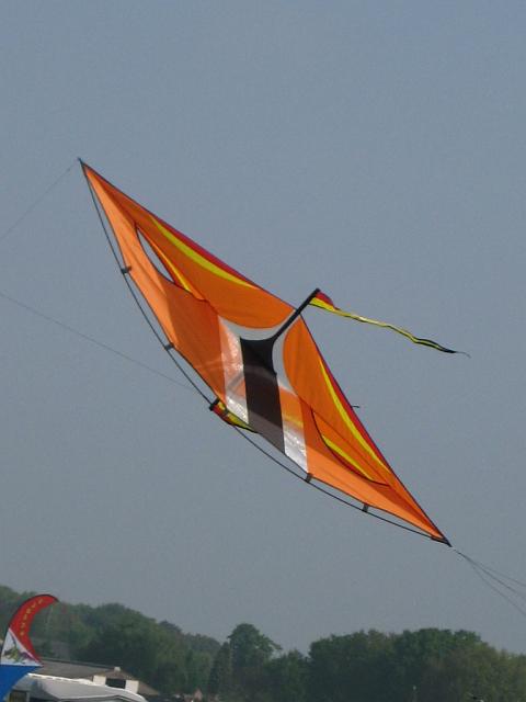 Drachenfest Bergeijk 2009 055.jpg